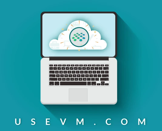 USEVM.COM